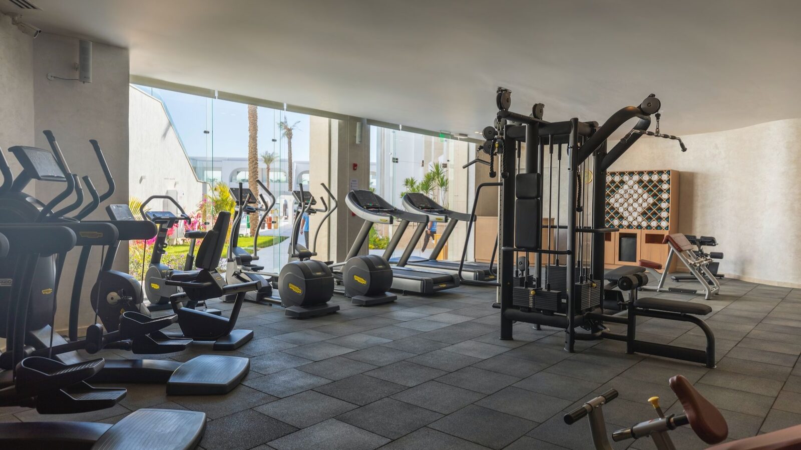 Spor & Aktiviteler